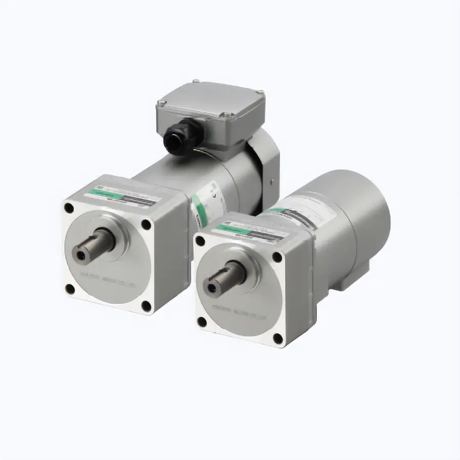 带电磁制动电动机