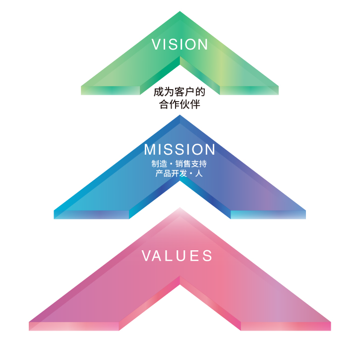 MISSION VISION VALUES