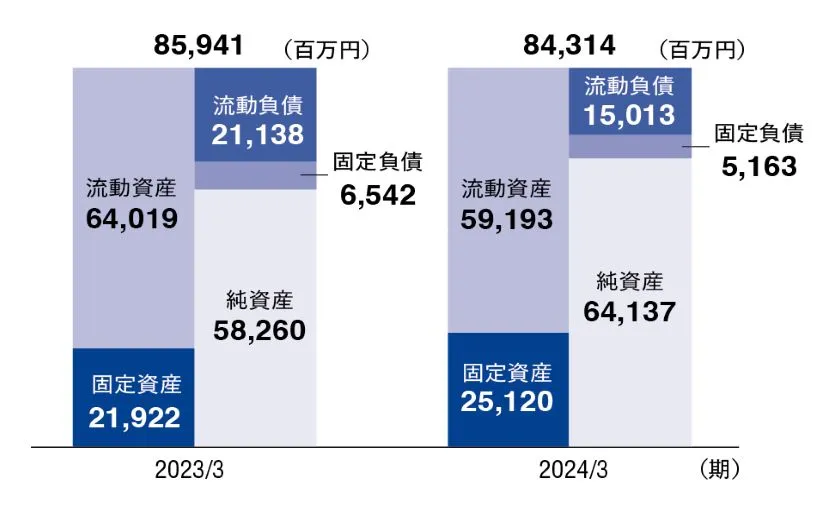 合并资产负债表概要