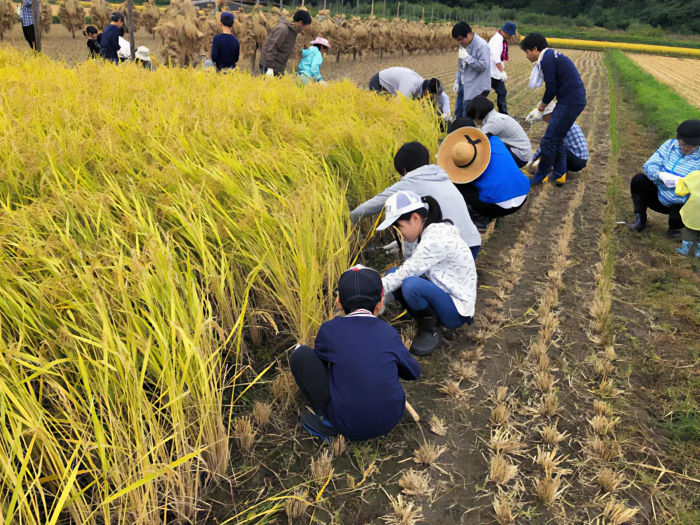 能代魅力体验塾 企业招引小分队