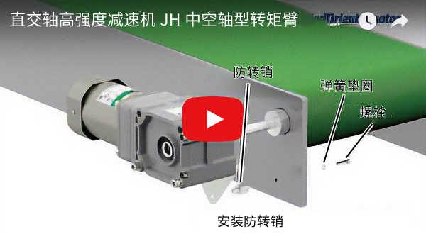 使用转矩臂进行安装的方法