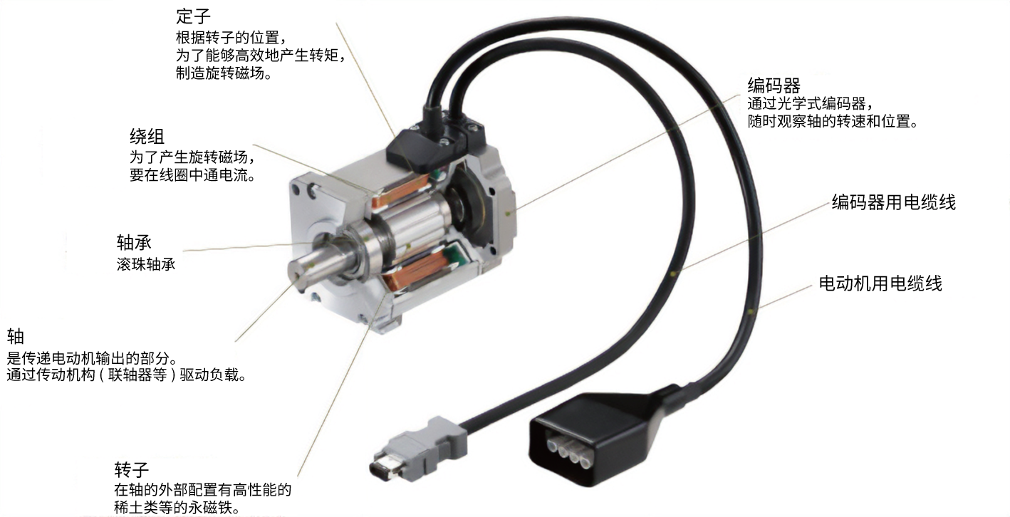 伺服电动机的构造